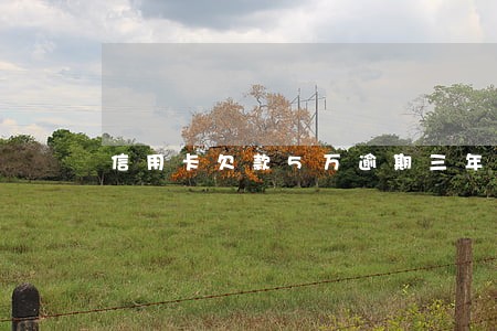 信用卡欠款5万逾期三年 信用卡欠款5万逾期三年