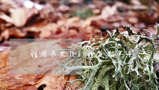 信用卡欠款5千逾期半年 信用卡欠款5千逾期半年