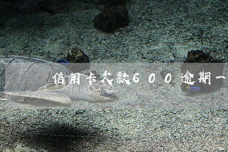 信用卡欠款600逾期一个月 信用卡欠款600逾期一个月