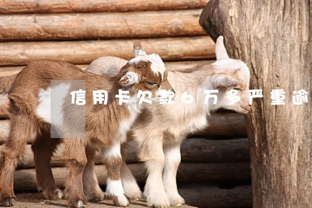 信用卡欠款6万多严重逾期半年