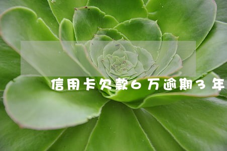 信用卡欠款6万逾期3年怎么样 信用卡欠款6万逾期3年怎么样