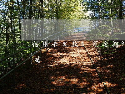 信用卡欠款6万逾期90天以上还可以分期吗 信用卡欠款6万逾期90天以上还可以分期吗