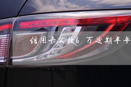 信用卡欠款6万逾期半年