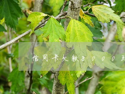 信用卡欠款8000现在逾期了