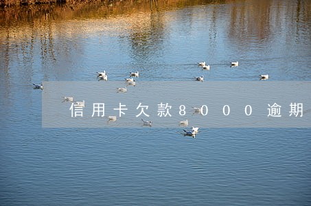 信用卡欠款8000逾期3年了
