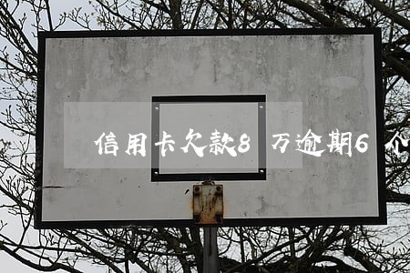信用卡欠款8万逾期6个月 信用卡欠款8万逾期6个月