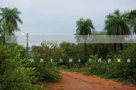 信用卡欠款8个月会算逾期几次 信用卡欠款8个月会算逾期几次