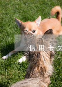 信用卡欠款一万逾期三个月自救 信用卡欠款一万逾期三个月自救