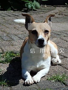 信用卡欠款一万逾期三年