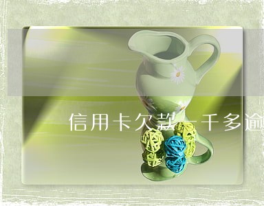 信用卡欠款一千多逾期一年