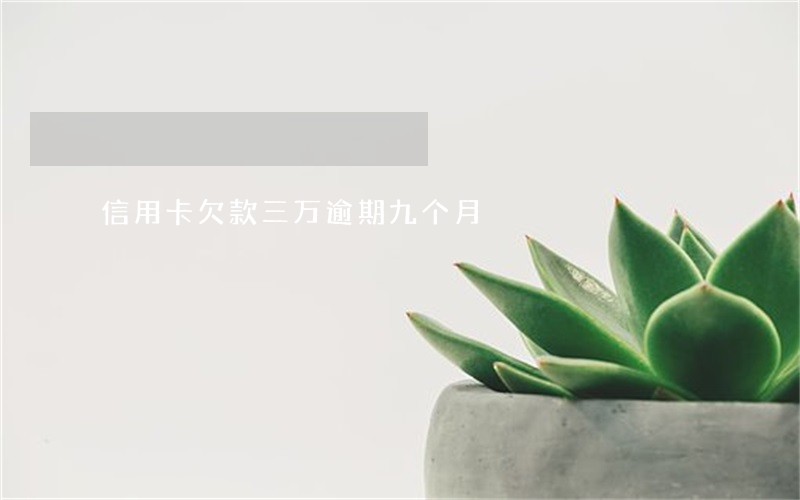 信用卡欠款三万逾期九个月 信用卡欠款三万逾期九个月