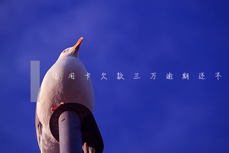 信用卡欠款三万逾期还不上的后果 信用卡欠款三万逾期还不上的后果
