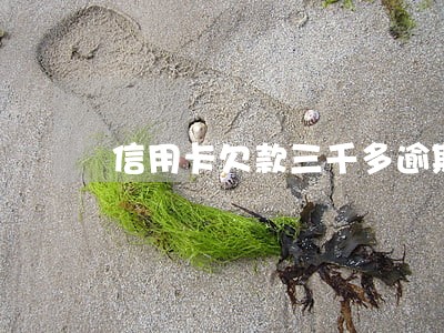 信用卡欠款三千多逾期 信用卡欠款三千多逾期