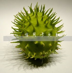 信用卡欠款三千逾期6个月后果