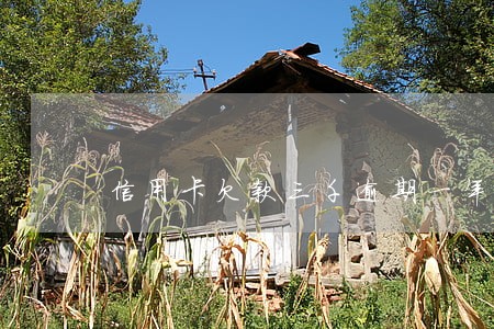 信用卡欠款三千逾期一年 信用卡欠款三千逾期一年