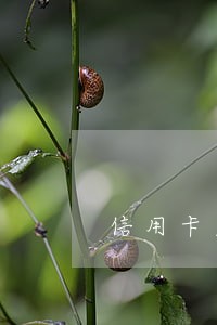 信用卡欠款两万多逾期三个月 信用卡欠款两万多逾期三个月