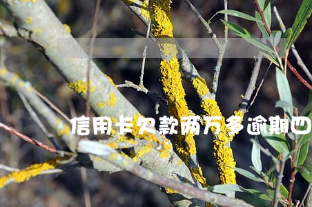 信用卡欠款两万多逾期四个月 信用卡欠款两万多逾期四个月