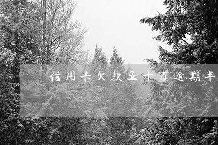 信用卡欠款五十万逾期半年该怎么上岸 信用卡欠款五十万逾期半年该怎么上岸