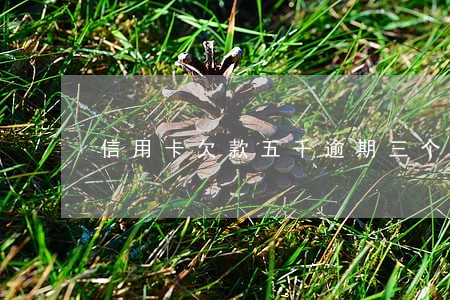 信用卡欠款五千逾期三个月