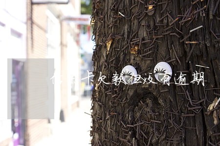 信用卡欠款但没有逾期