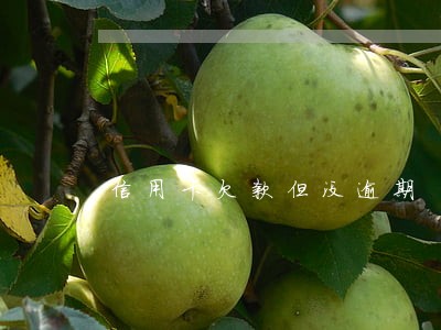 信用卡欠款但没逾期 信用卡欠款但没逾期