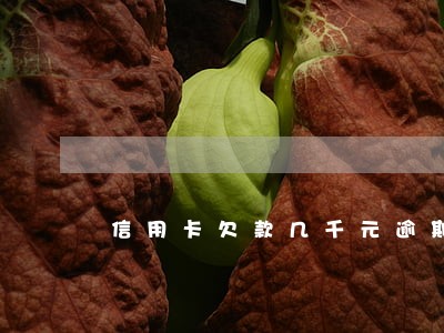 信用卡欠款几千元逾期会立案吗