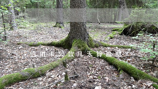信用卡欠款几天算逾期 信用卡欠款几天算逾期