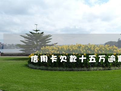 信用卡欠款十五万逾期三个月 信用卡欠款十五万逾期三个月