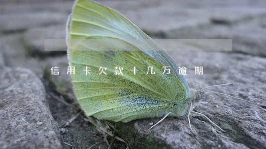 信用卡欠款十几万逾期 信用卡欠款十几万逾期
