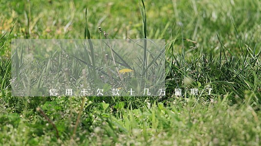 信用卡欠款十几万逾期了 信用卡欠款十几万逾期了