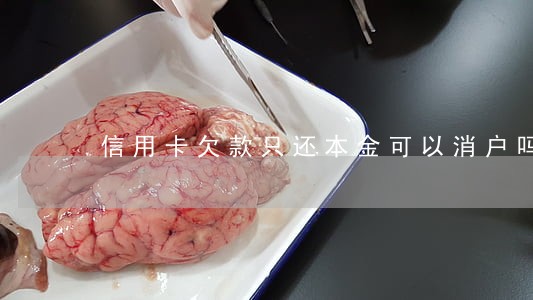 信用卡欠款只还本金可以消户吗