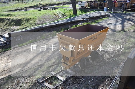 信用卡欠款只还本金吗