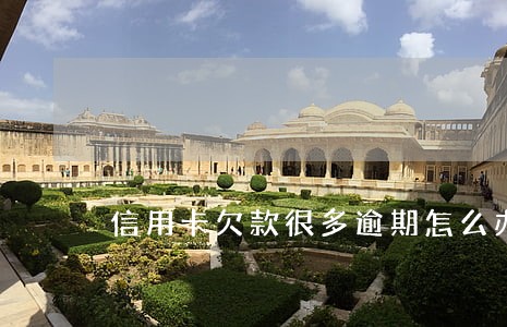 信用卡欠款很多逾期怎么办 信用卡欠款很多逾期怎么办