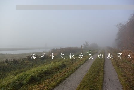 信用卡欠款没有逾期可以去贷款 信用卡欠款没有逾期可以去贷款