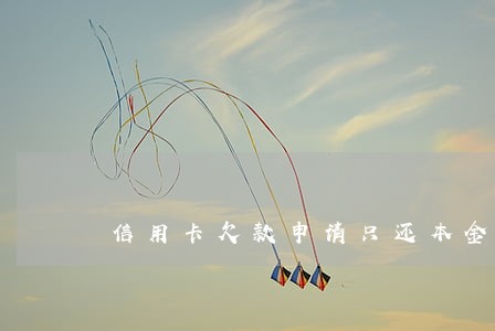 信用卡欠款申请只还本金该怎么写 信用卡欠款申请只还本金该怎么写