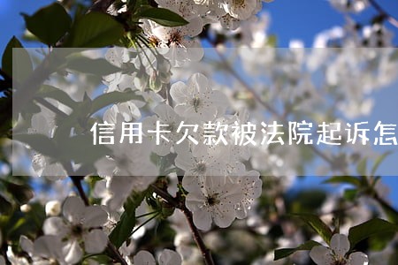 信用卡欠款被法院起诉怎么办 信用卡欠款被法院起诉怎么办