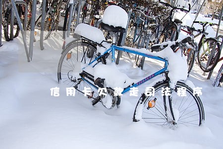 信用卡欠款走司法程序 信用卡欠款走司法程序