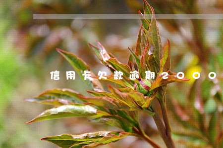 信用卡欠款逾期2000块 信用卡欠款逾期2000块