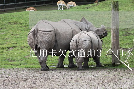 信用卡欠款逾期3个月不到