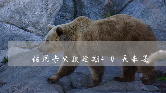 信用卡欠款逾期40天未还