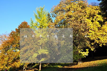 信用卡欠款逾期7天 信用卡欠款逾期7天