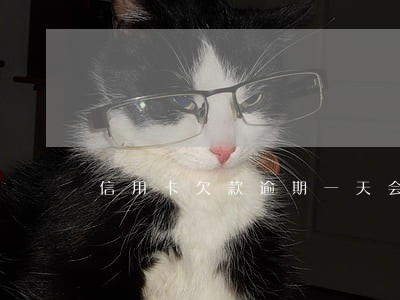信用卡欠款逾期一天会怎样 信用卡欠款逾期一天会怎样