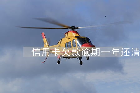 信用卡欠款逾期一年还清后 信用卡欠款逾期一年还清后