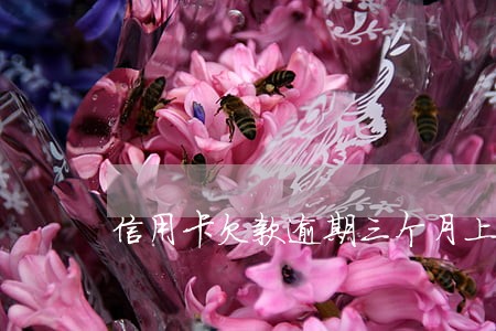 信用卡欠款逾期三个月上征信吗