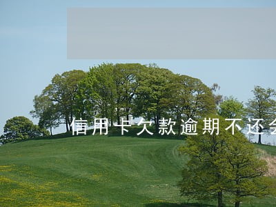 信用卡欠款逾期不还会怎么样 信用卡欠款逾期不还会怎么样