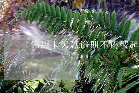 信用卡欠款逾期不还被起诉 信用卡欠款逾期不还被起诉