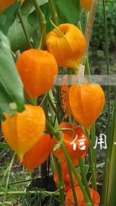 信用卡欠款逾期五万怎么办 信用卡欠款逾期五万怎么办
