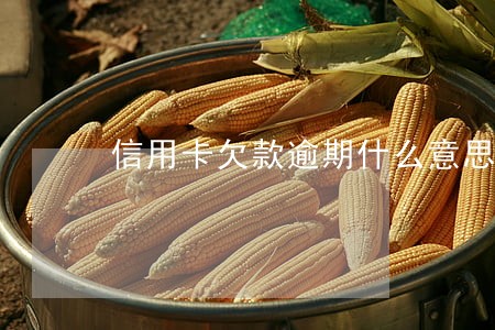 信用卡欠款逾期什么意思