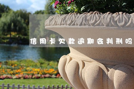 信用卡欠款逾期会判刑吗上海