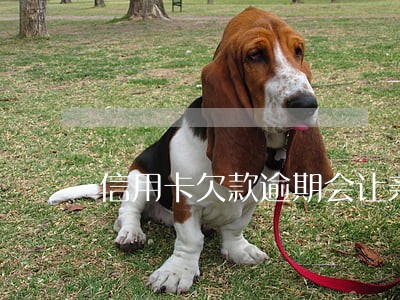 信用卡欠款逾期会让亲属还款吗 信用卡欠款逾期会让亲属还款吗